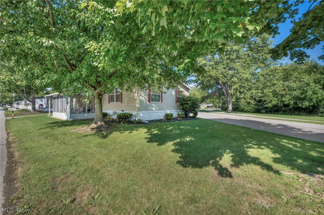 16 Cherry Lane