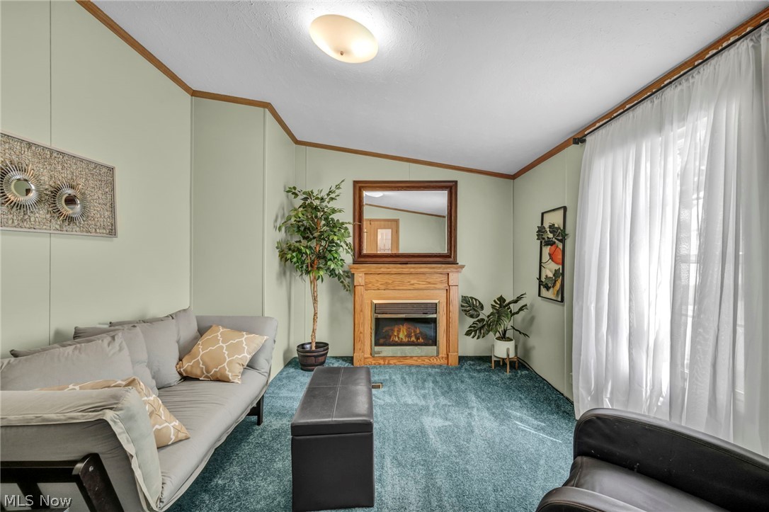 14 Cherry Lane