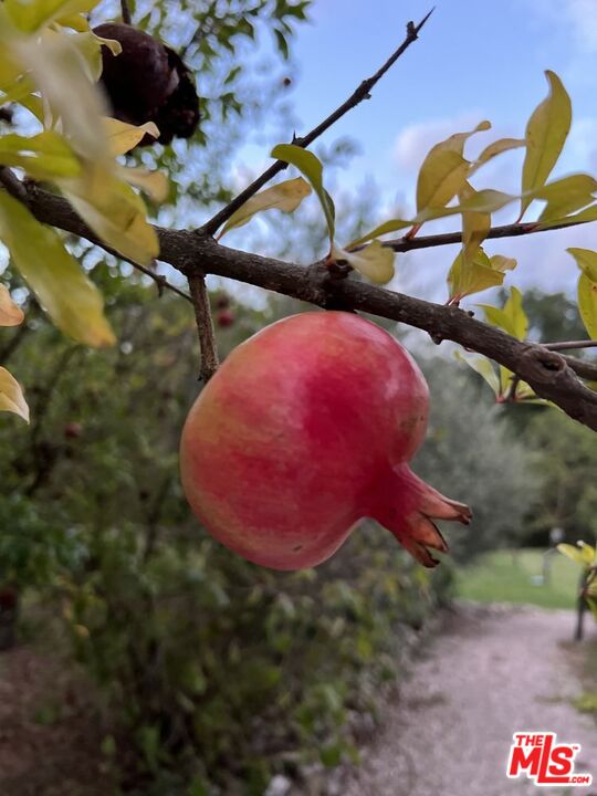 10 Via San Lorenzo, Umbria, ITALY