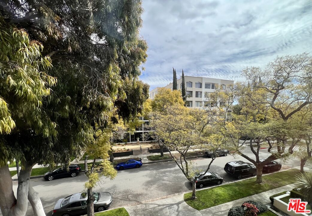 415 N Palm DR Unit: 301