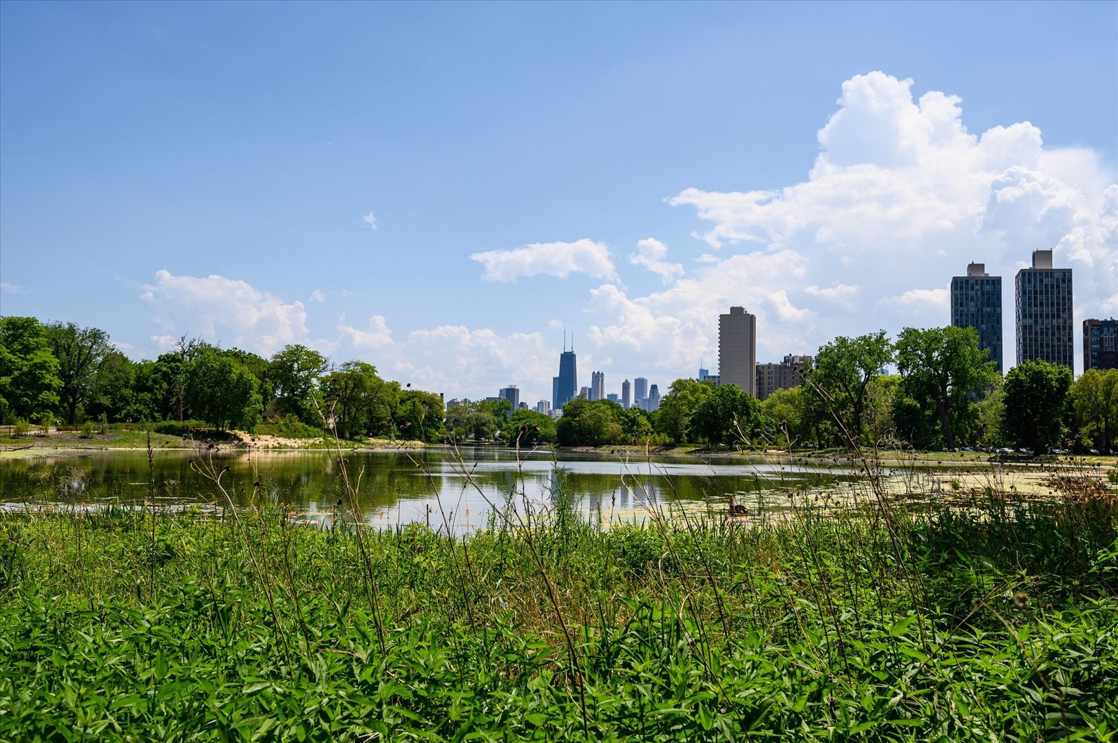 2550 N Lakeview Avenue Unit: N203