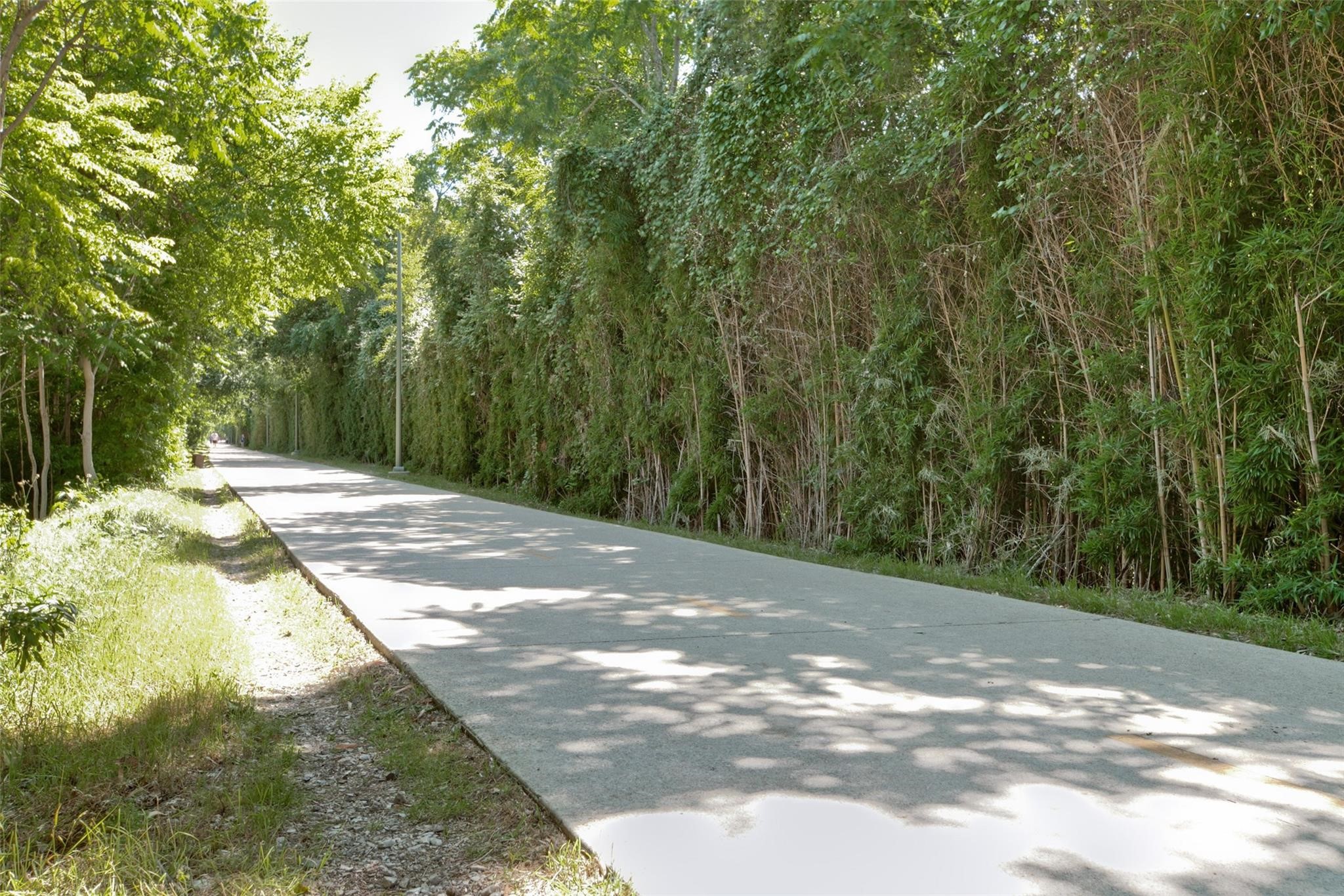 4241 Buena Vista Street 4