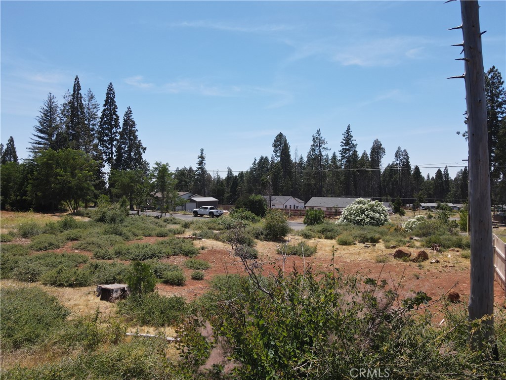 13924 Carver Drive