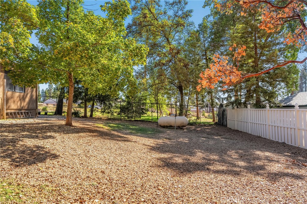 13953 Carver