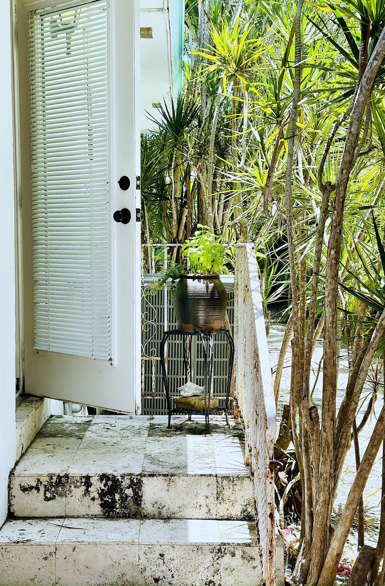 252 Hibiscus Street