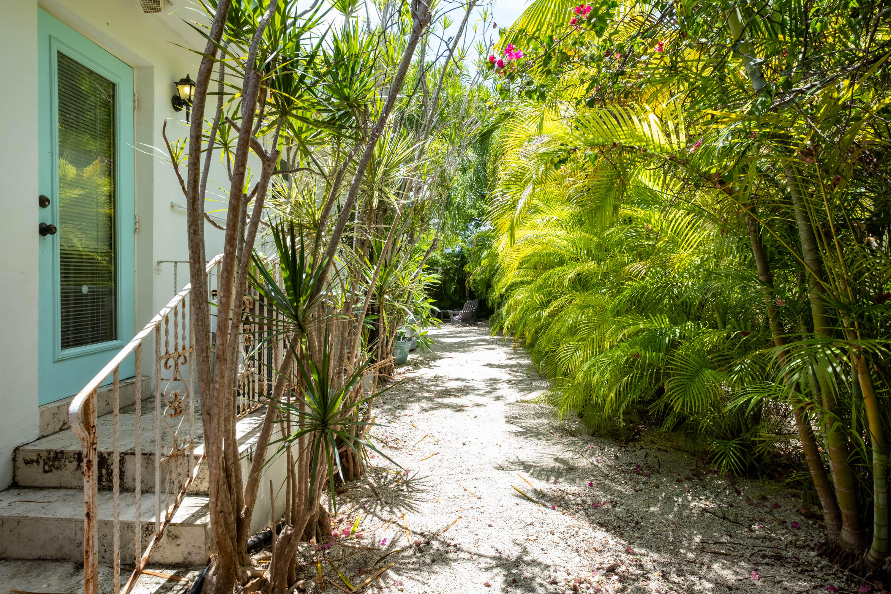 252 Hibiscus Street