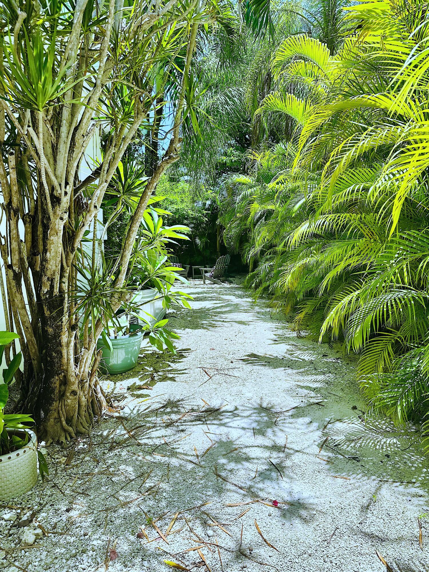 252 Hibiscus Street