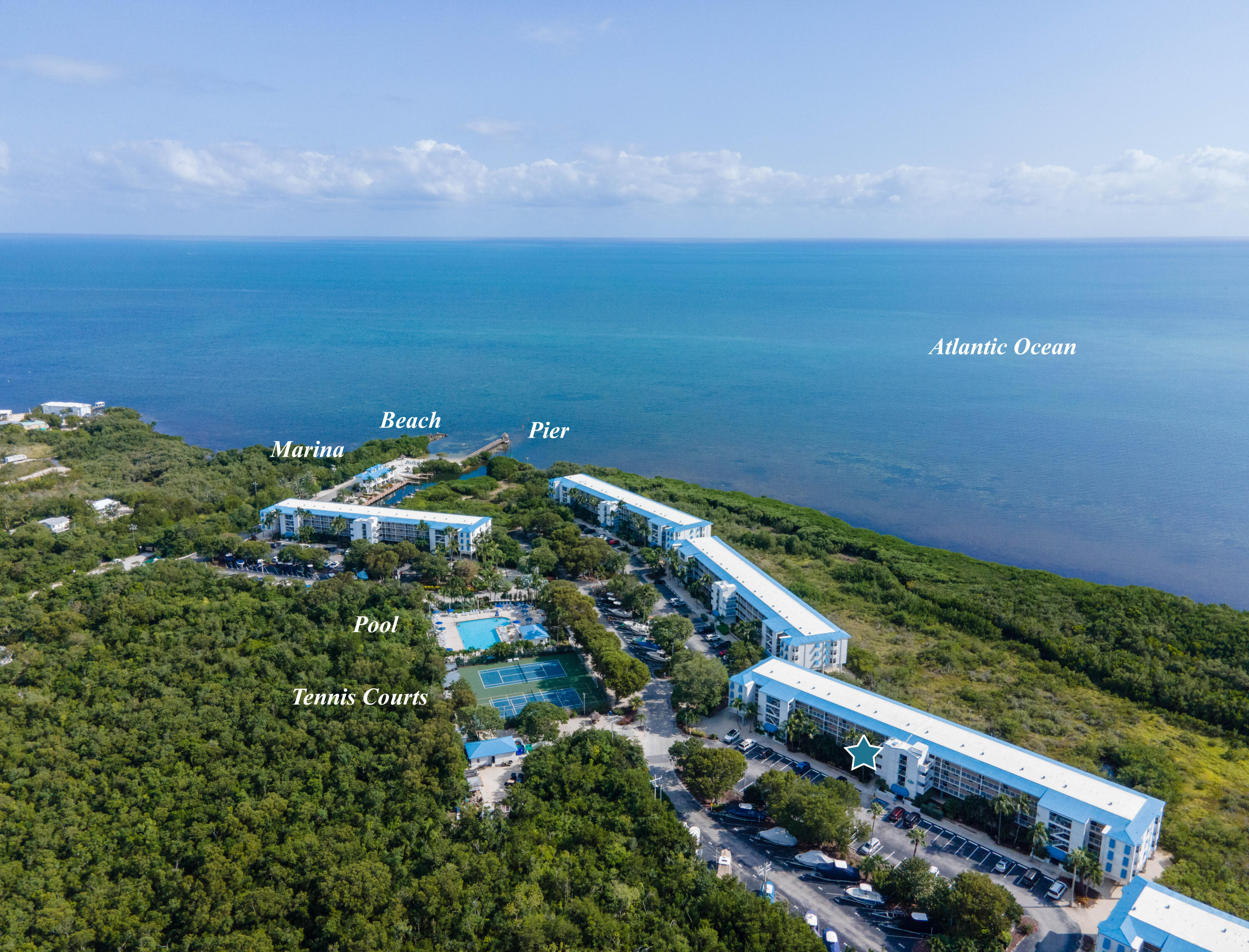 500 Burton Drive Unit: 2207