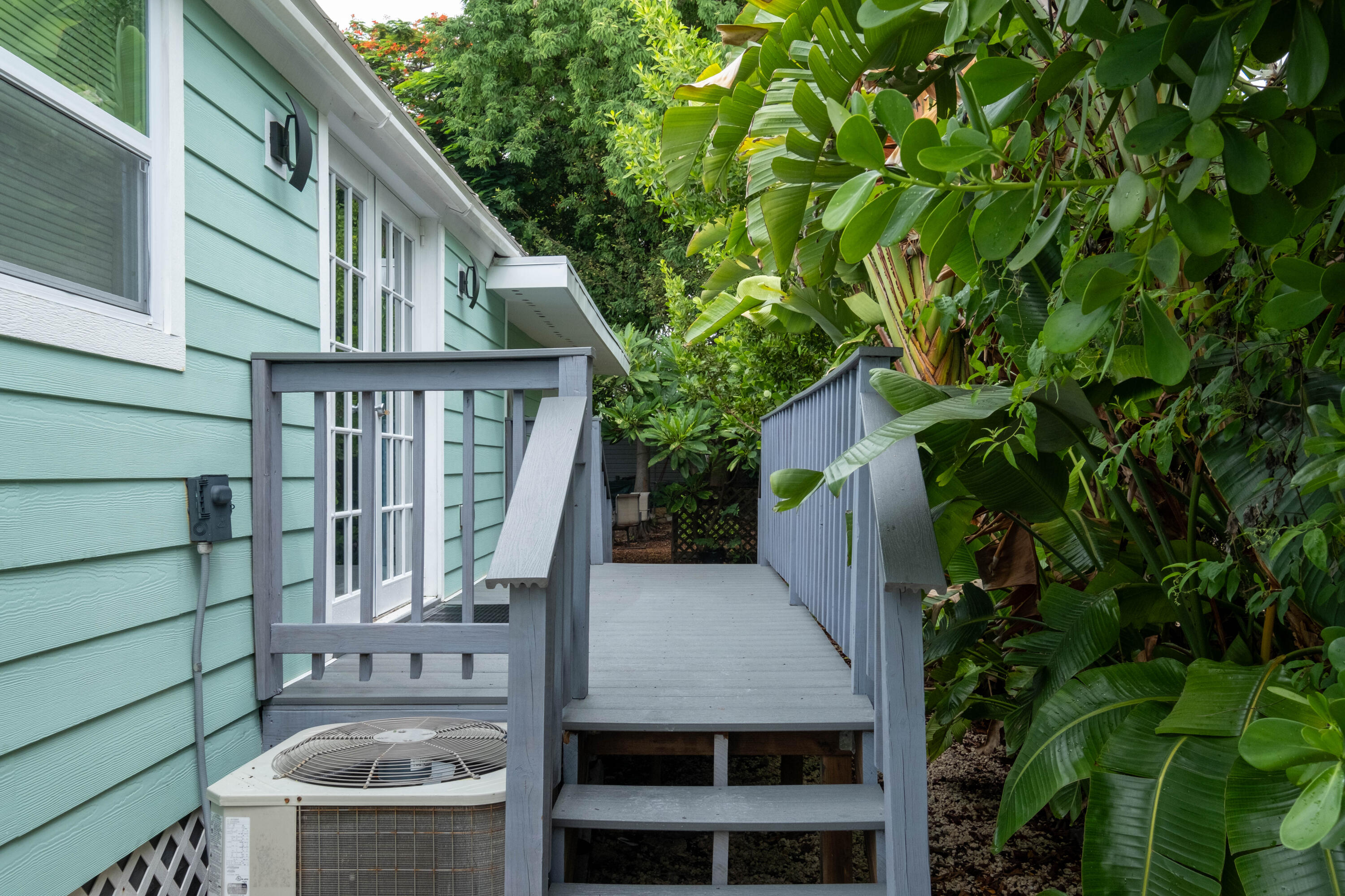 149 Orchid Street