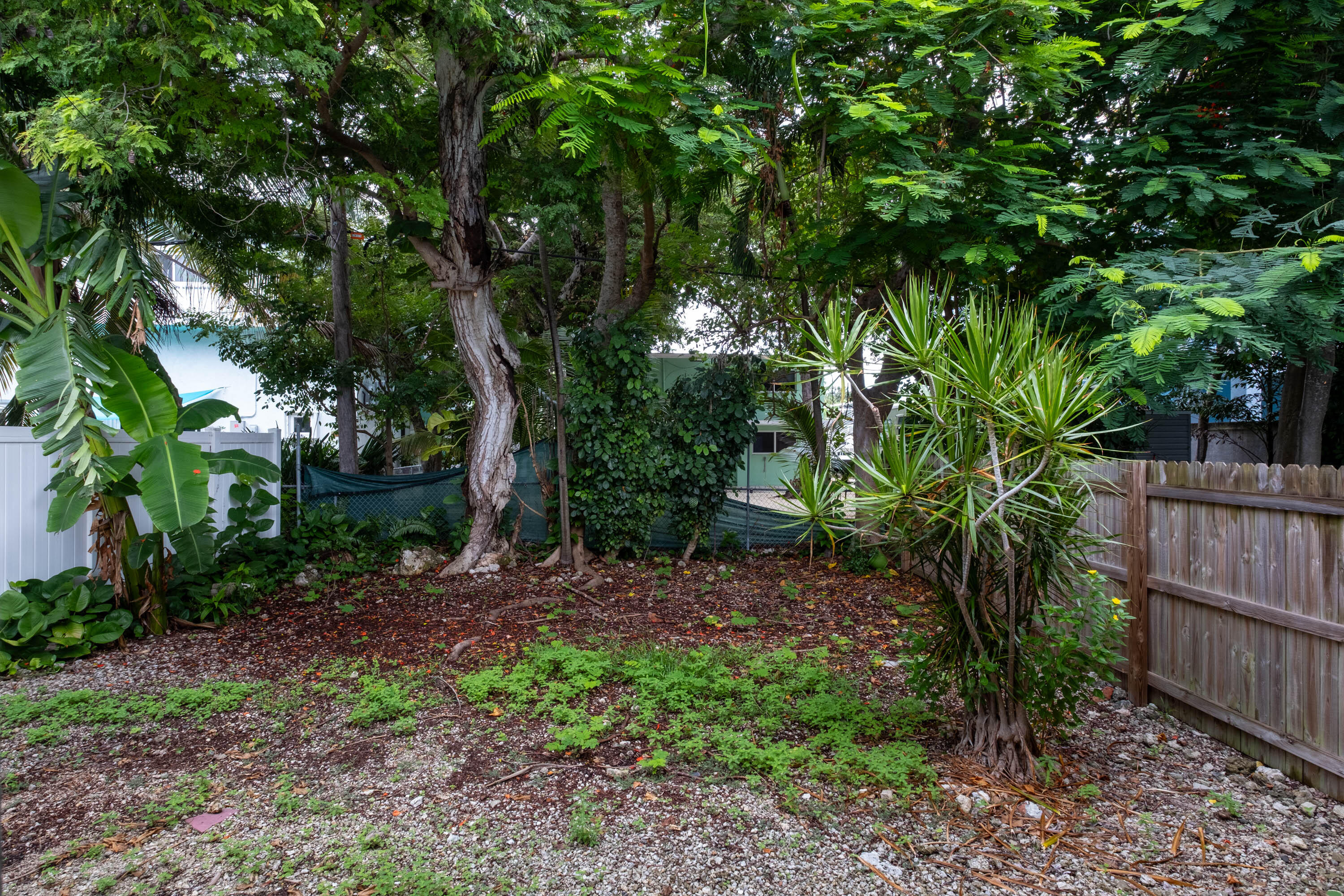 149 Orchid Street