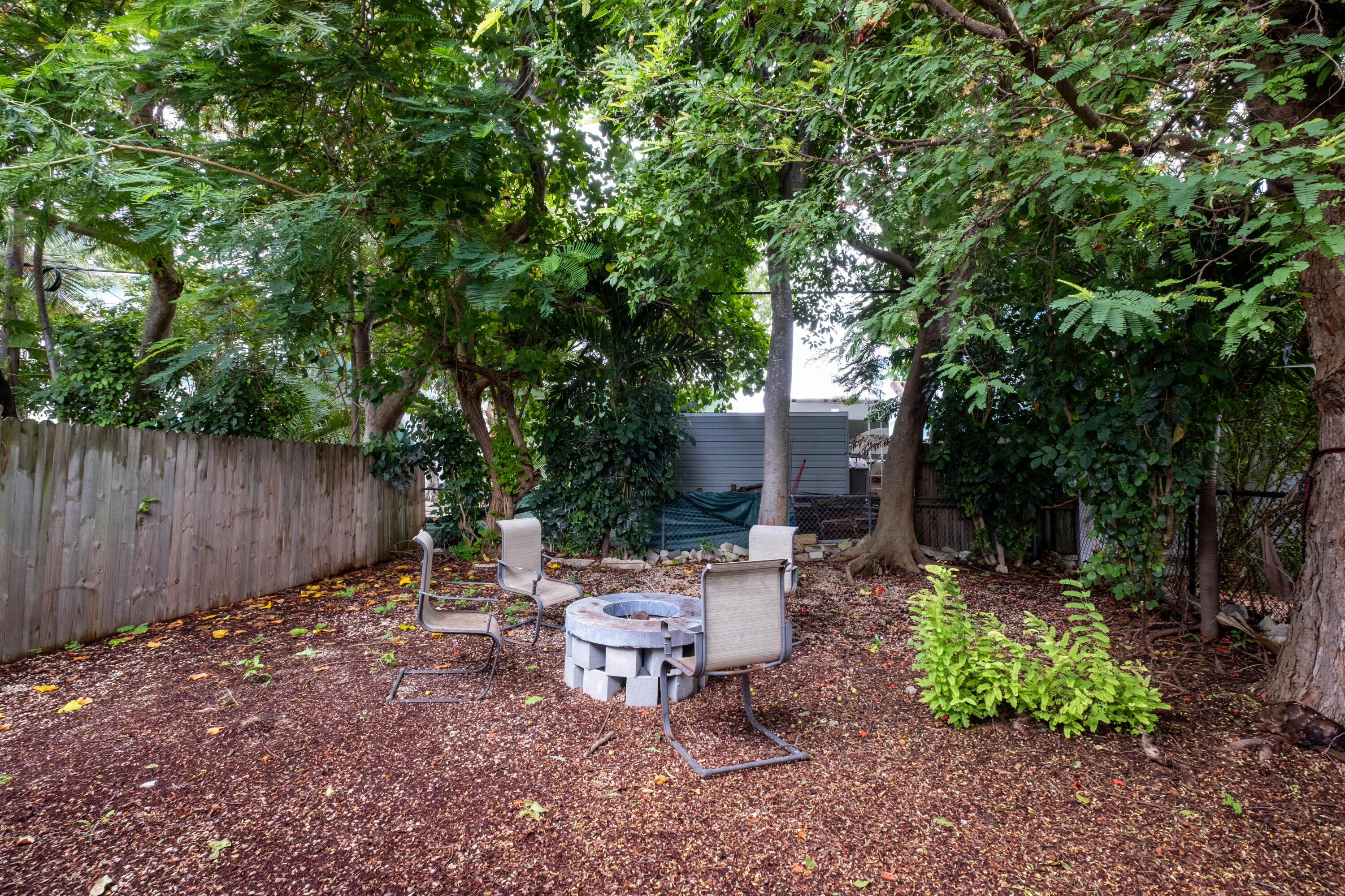 149 Orchid Street