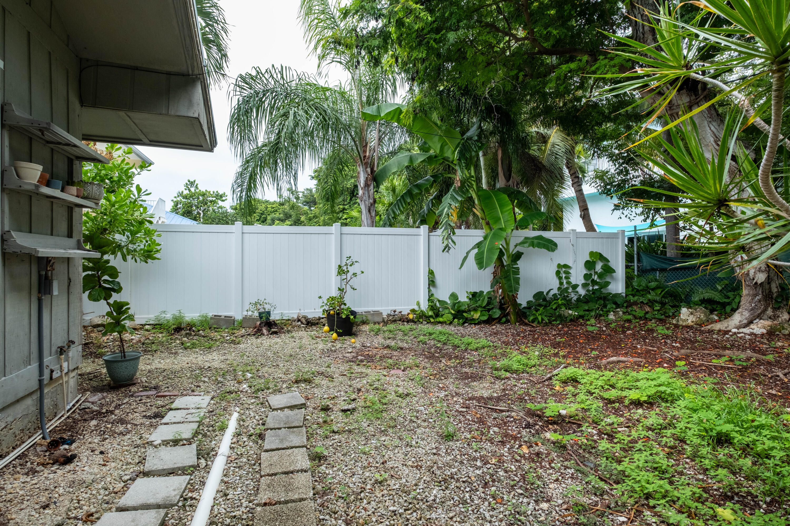 149 Orchid Street