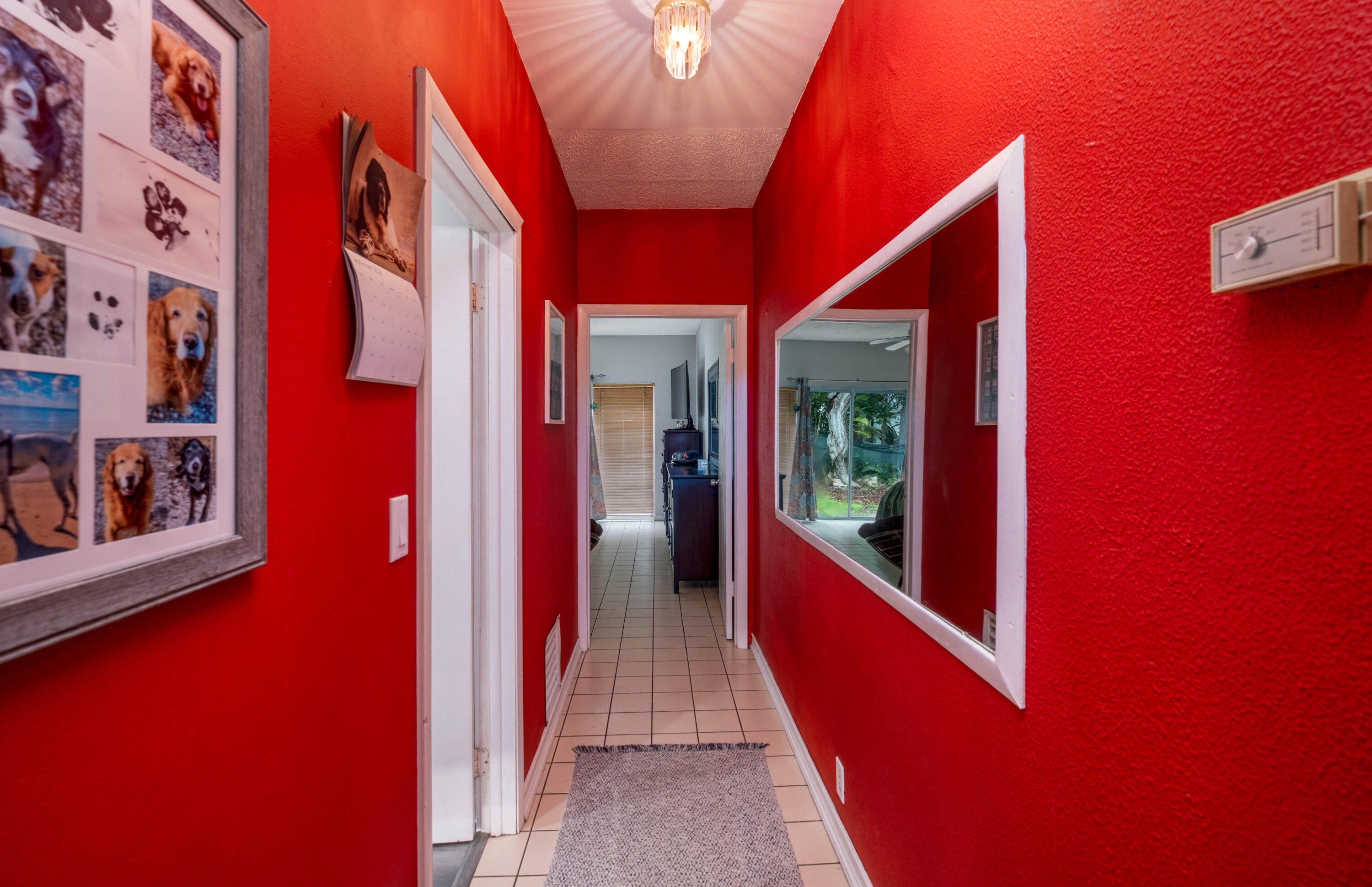 149 Orchid Street