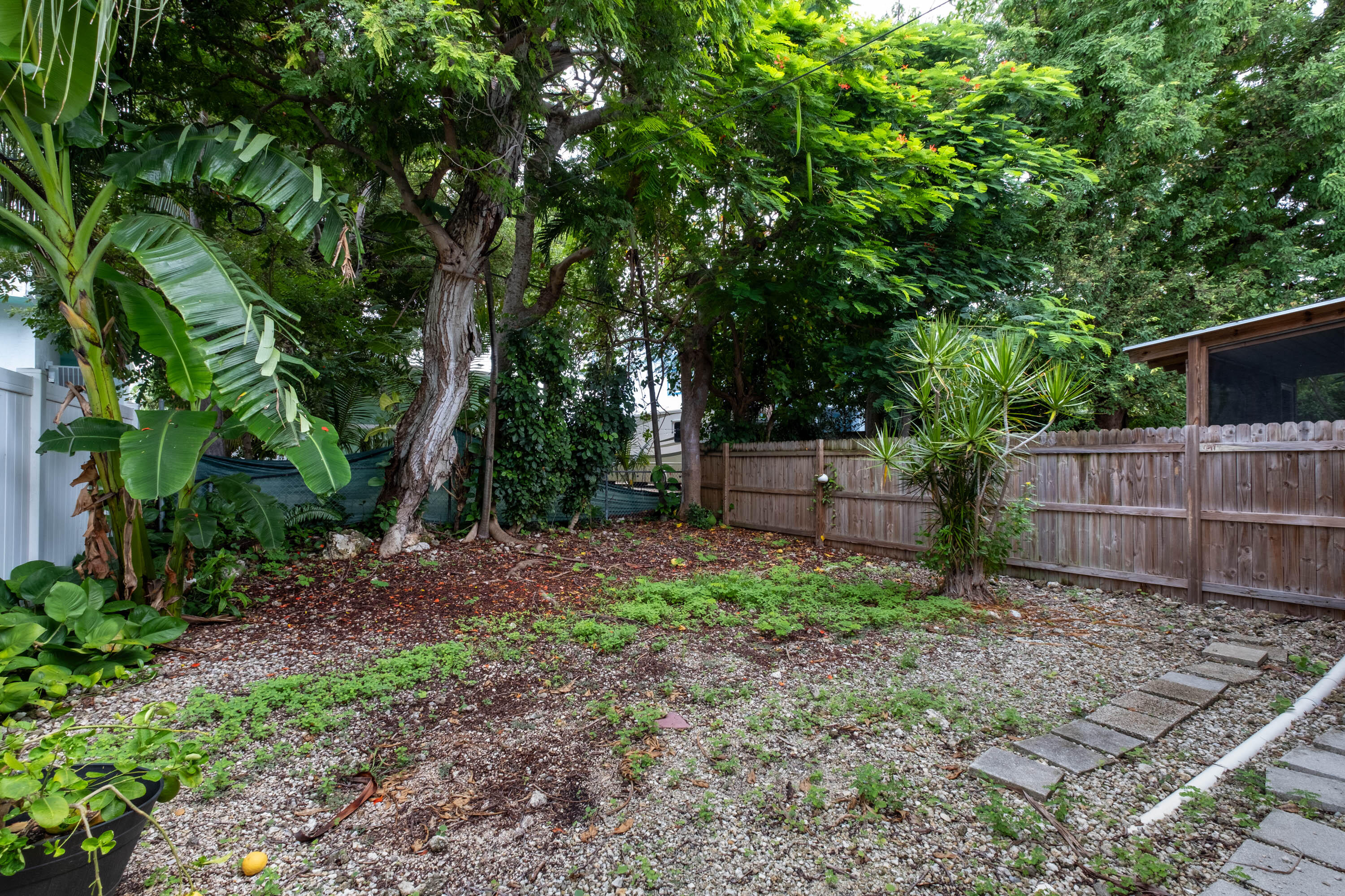 149 Orchid Street