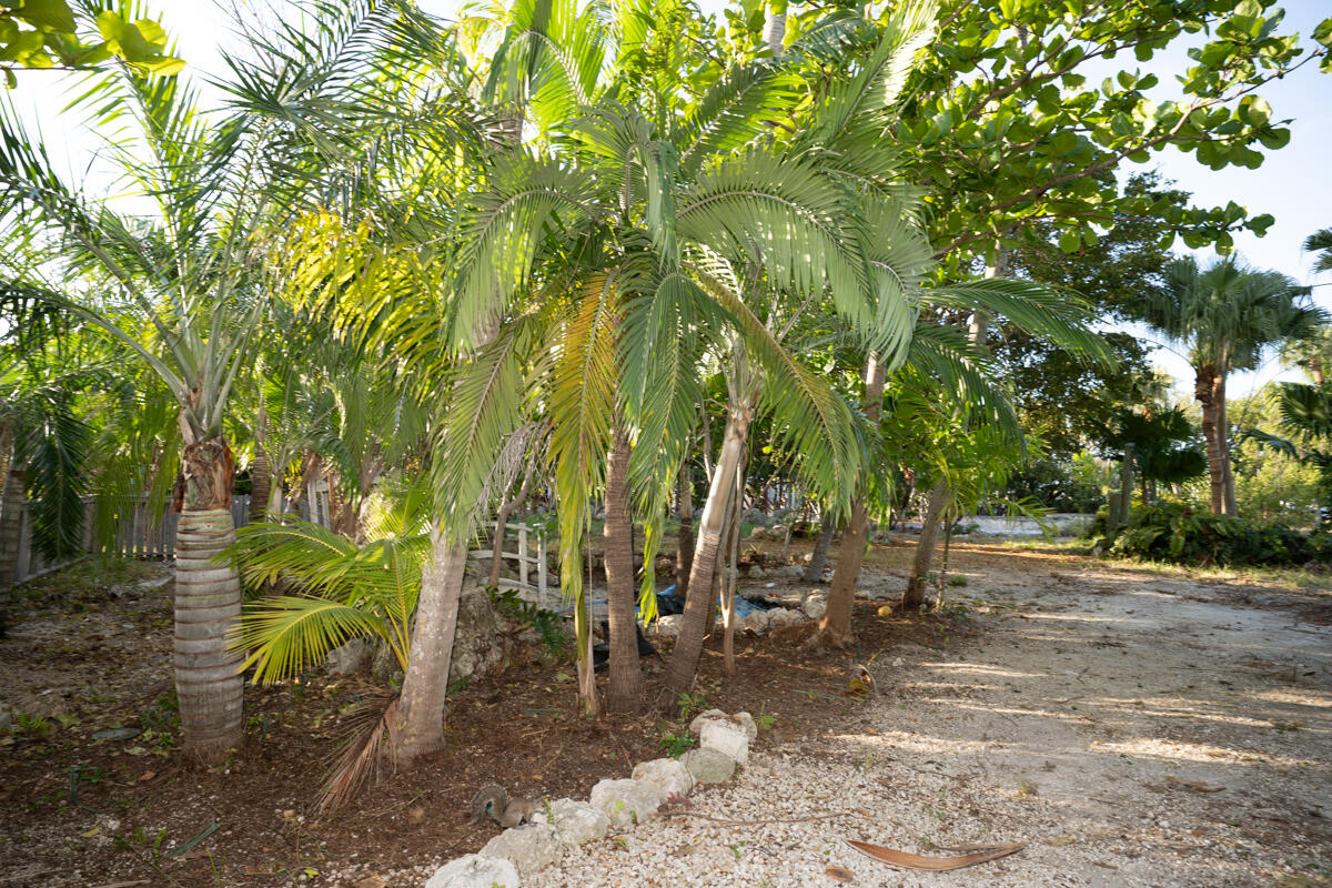 189 Indian Mound Trail