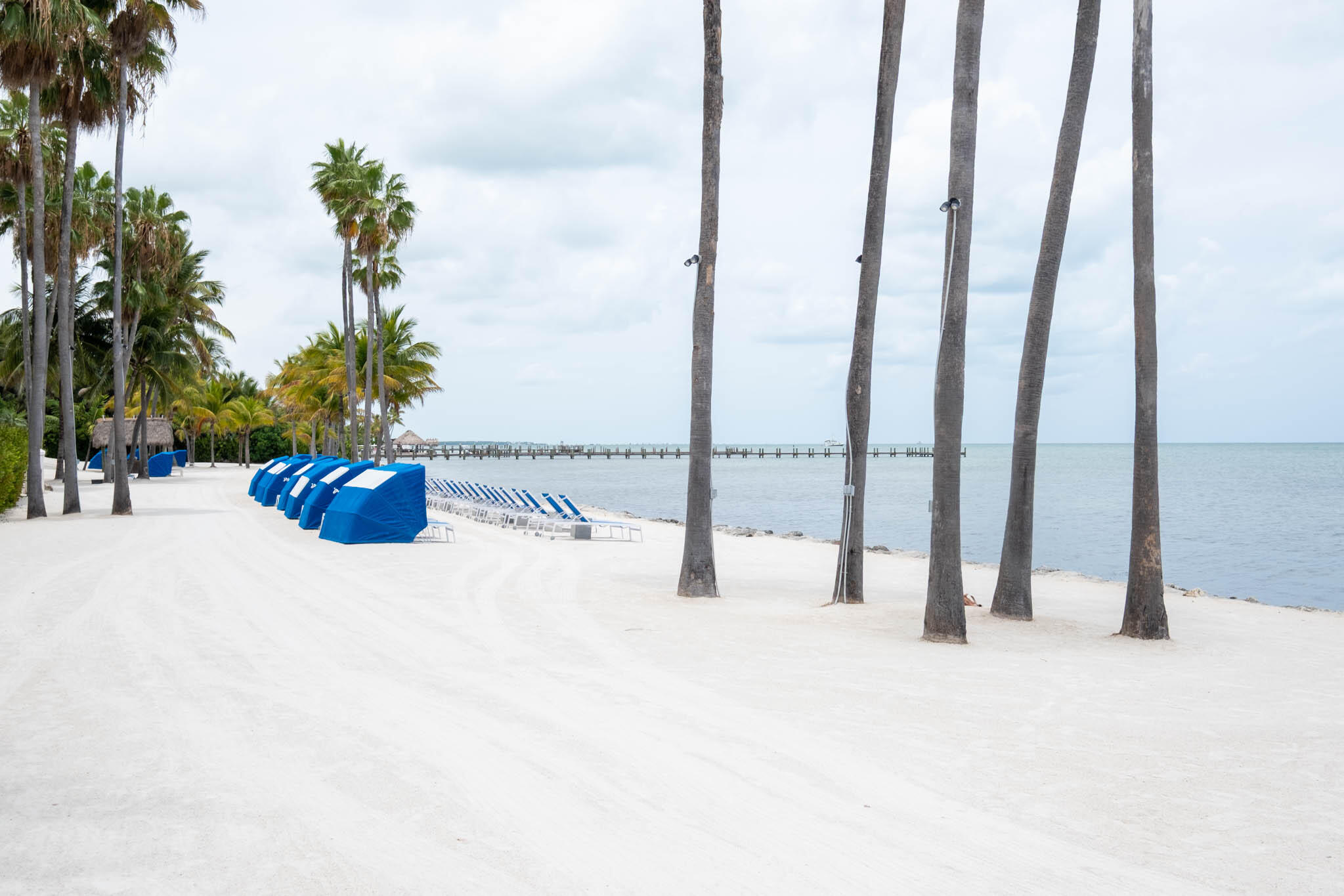 81801 Overseas Highway Unit: 754