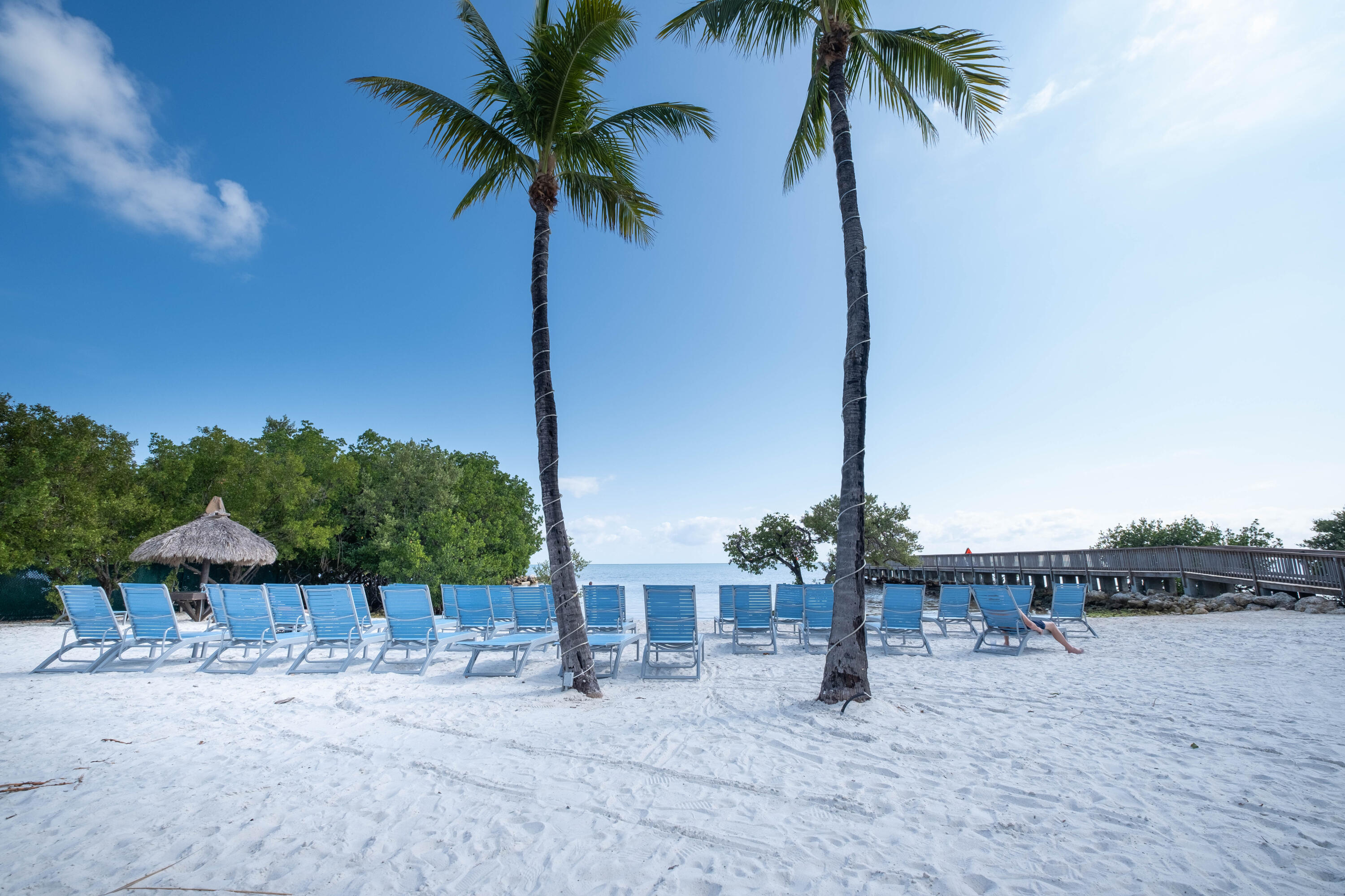 500 Burton Drive Unit: 2207