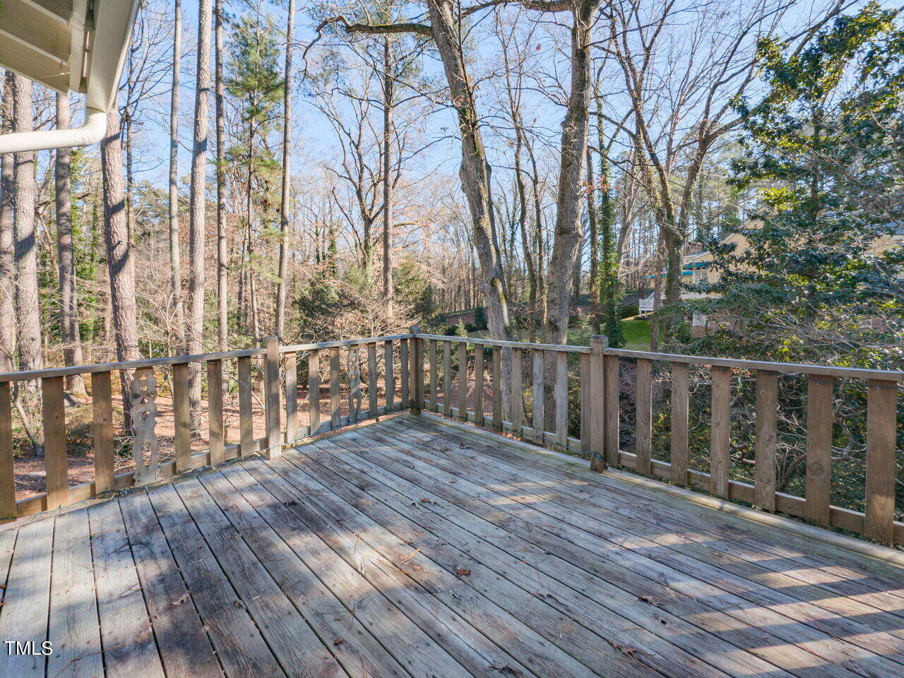 110 Pasquotank Drive