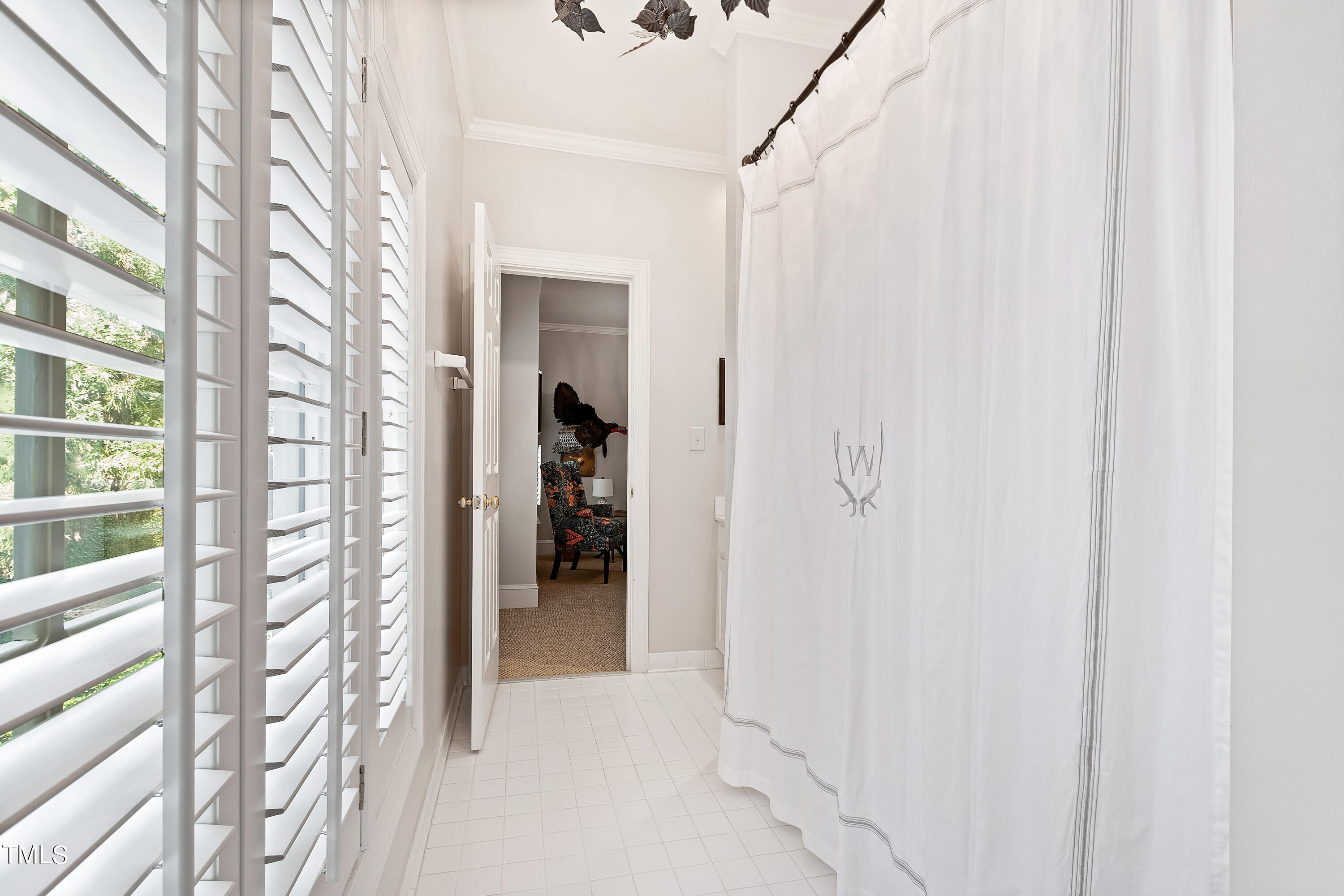 323 Transylvania Avenue