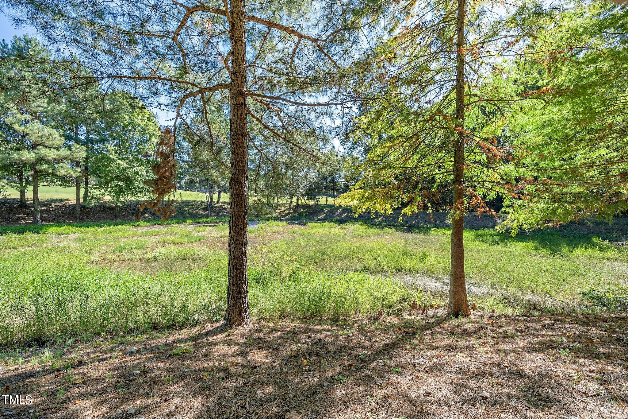 7312 Dunsany Court