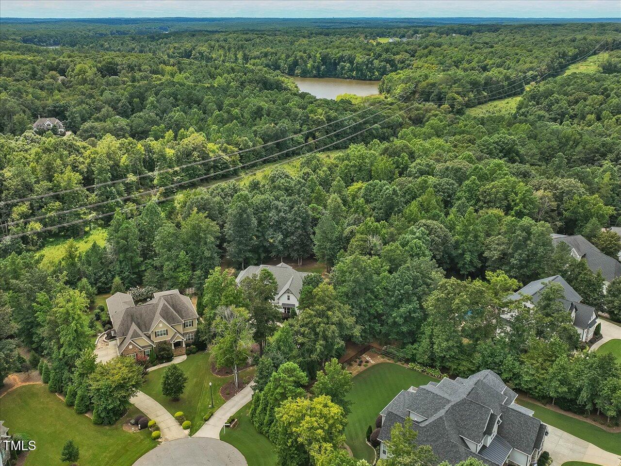 1901 Haley Pines Way