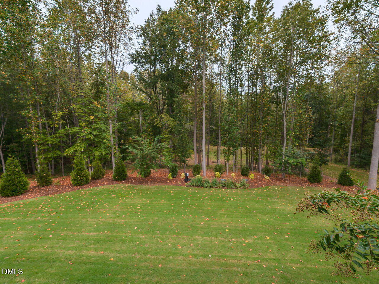 1429 Blantons Creek Drive