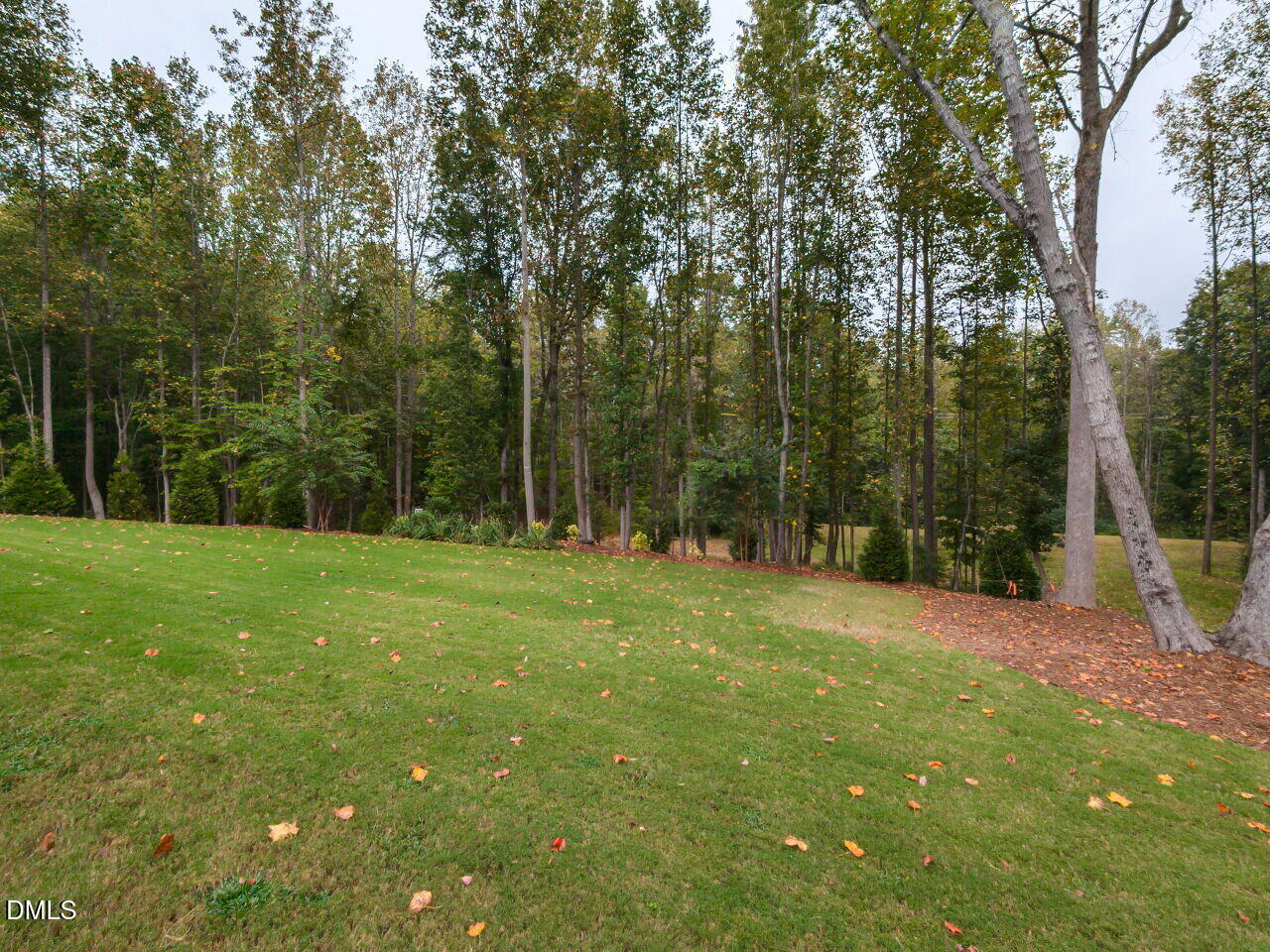 1429 Blantons Creek Drive