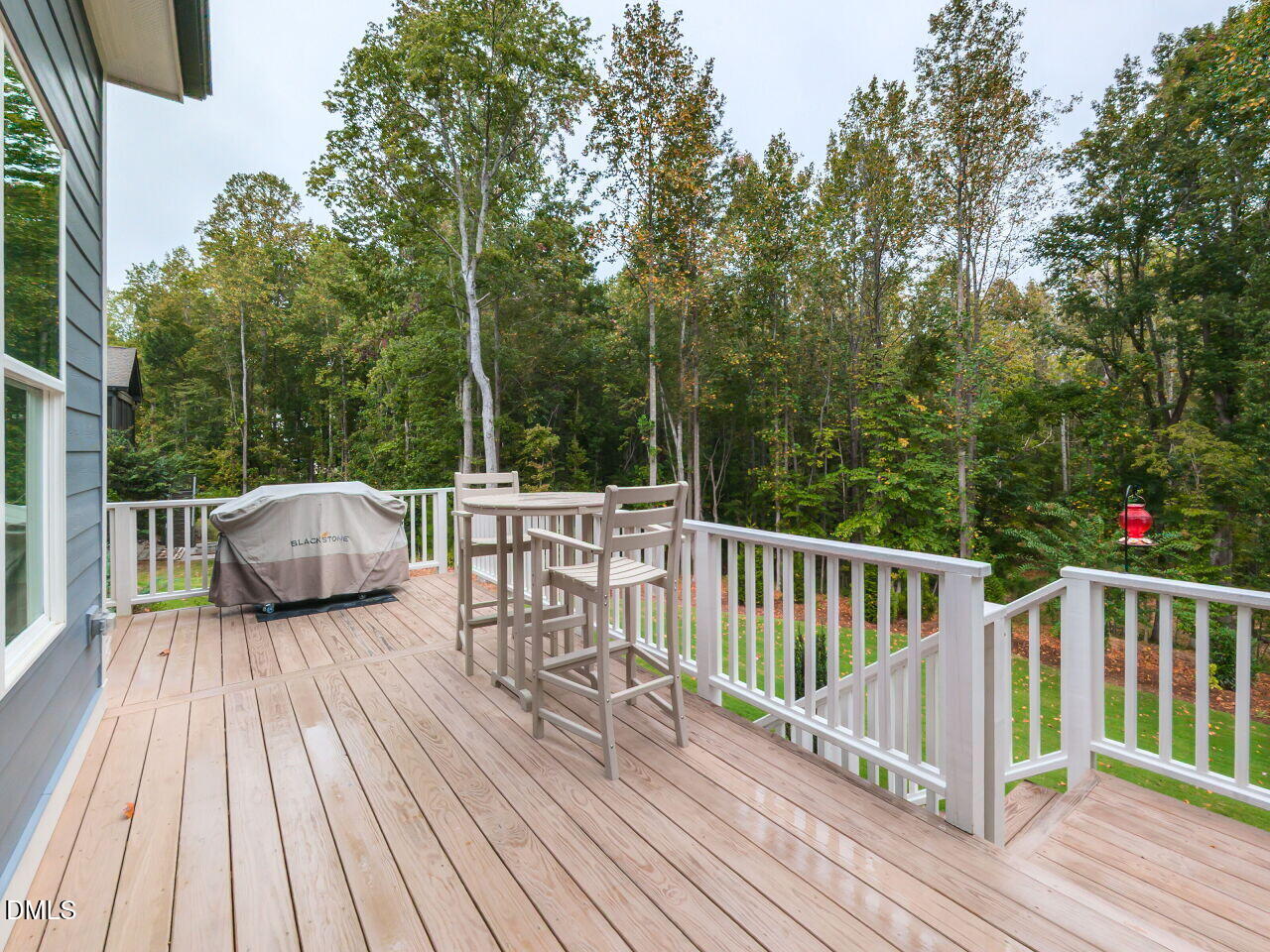 1429 Blantons Creek Drive