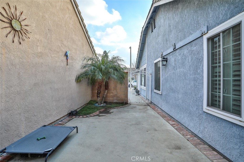 12312 Wintergreen Street