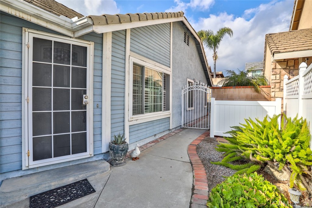 12312 Wintergreen Street