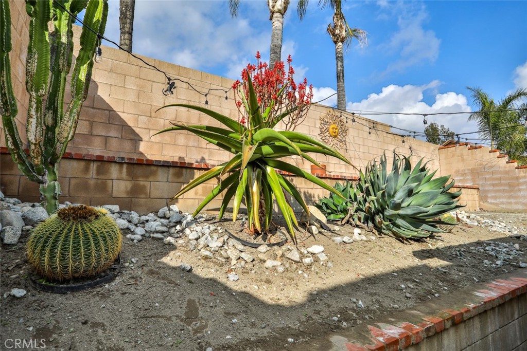 12312 Wintergreen Street