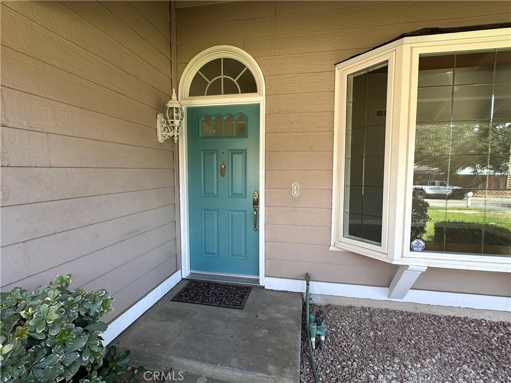 10279 Candlewood Street