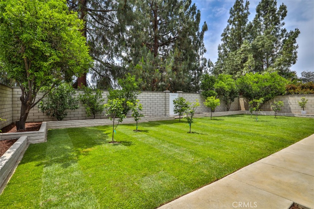 10249 Candlewood Street