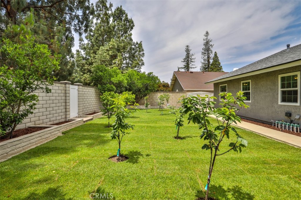 10249 Candlewood Street