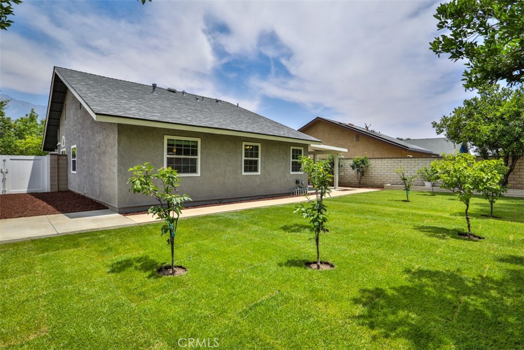 10249 Candlewood Street