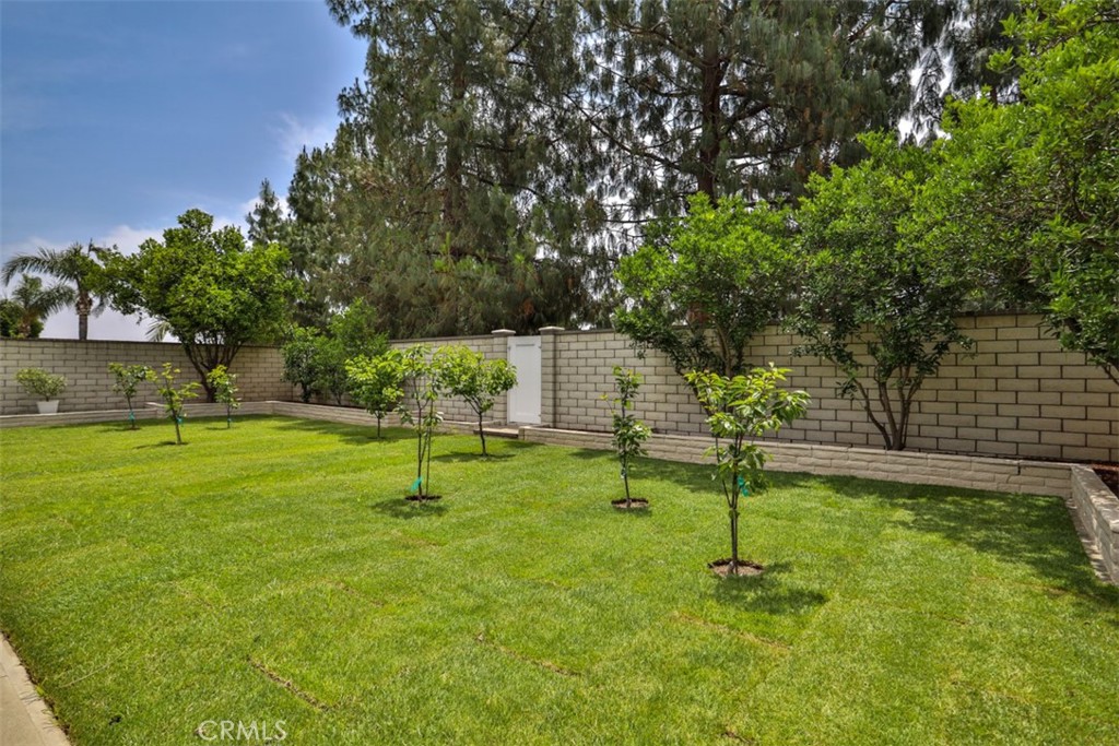 10249 Candlewood Street