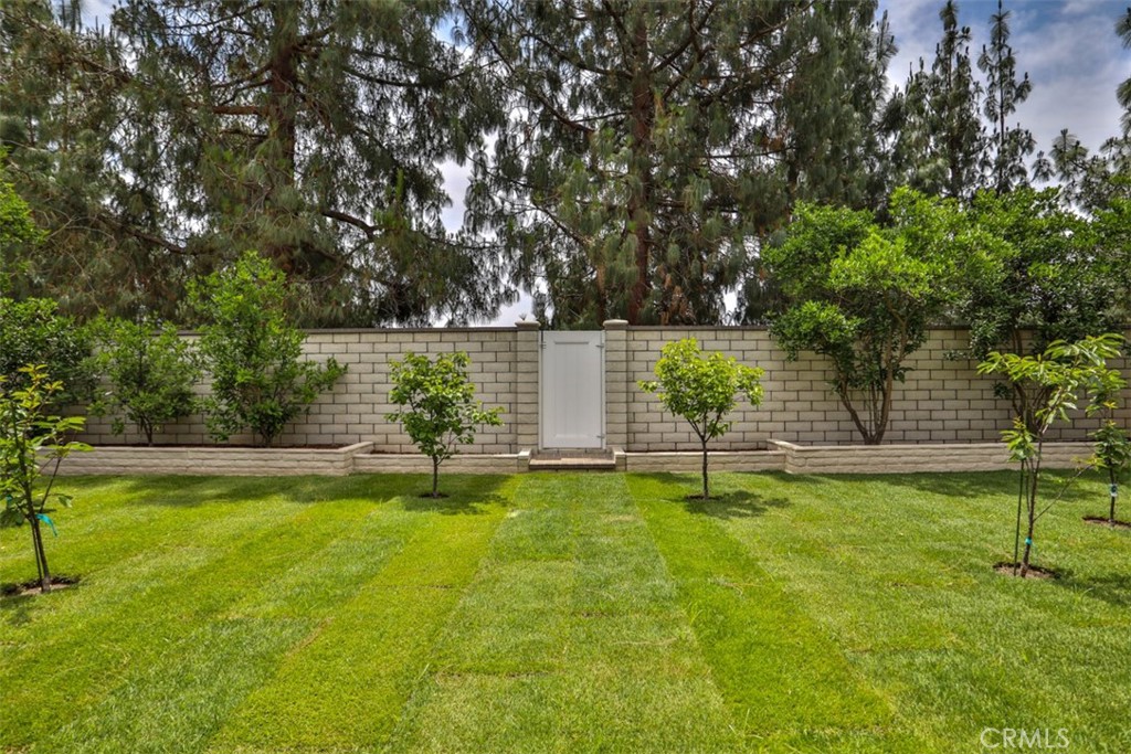 10249 Candlewood Street