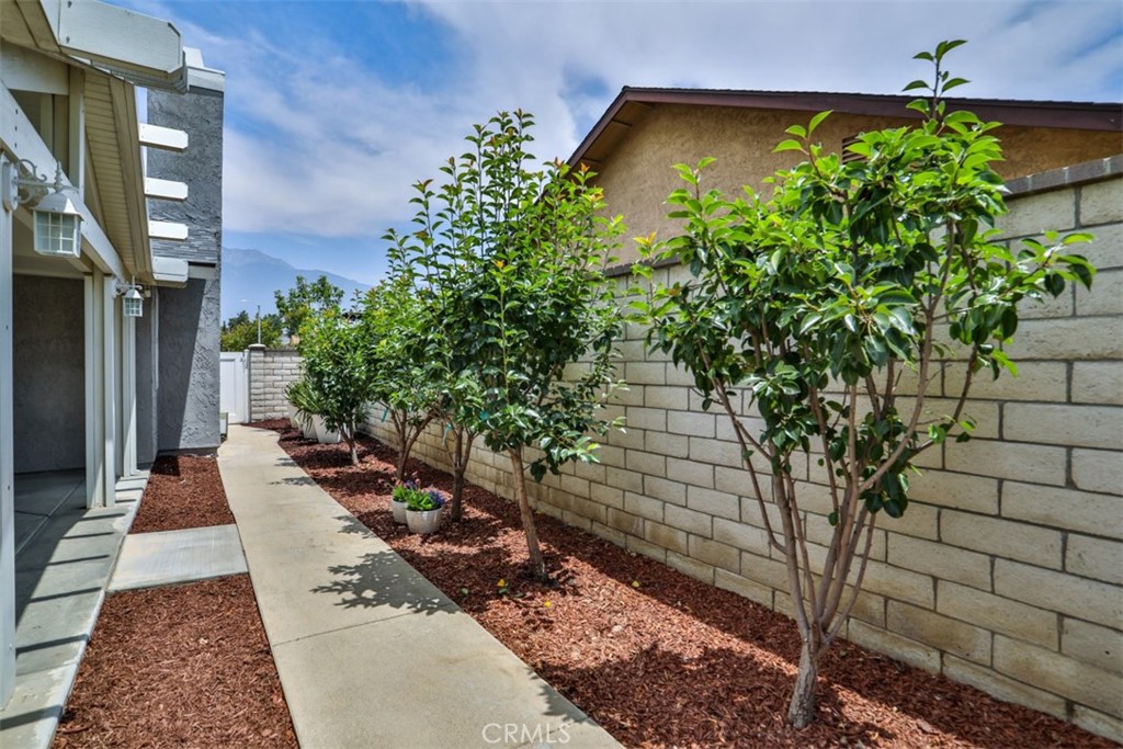 10249 Candlewood Street