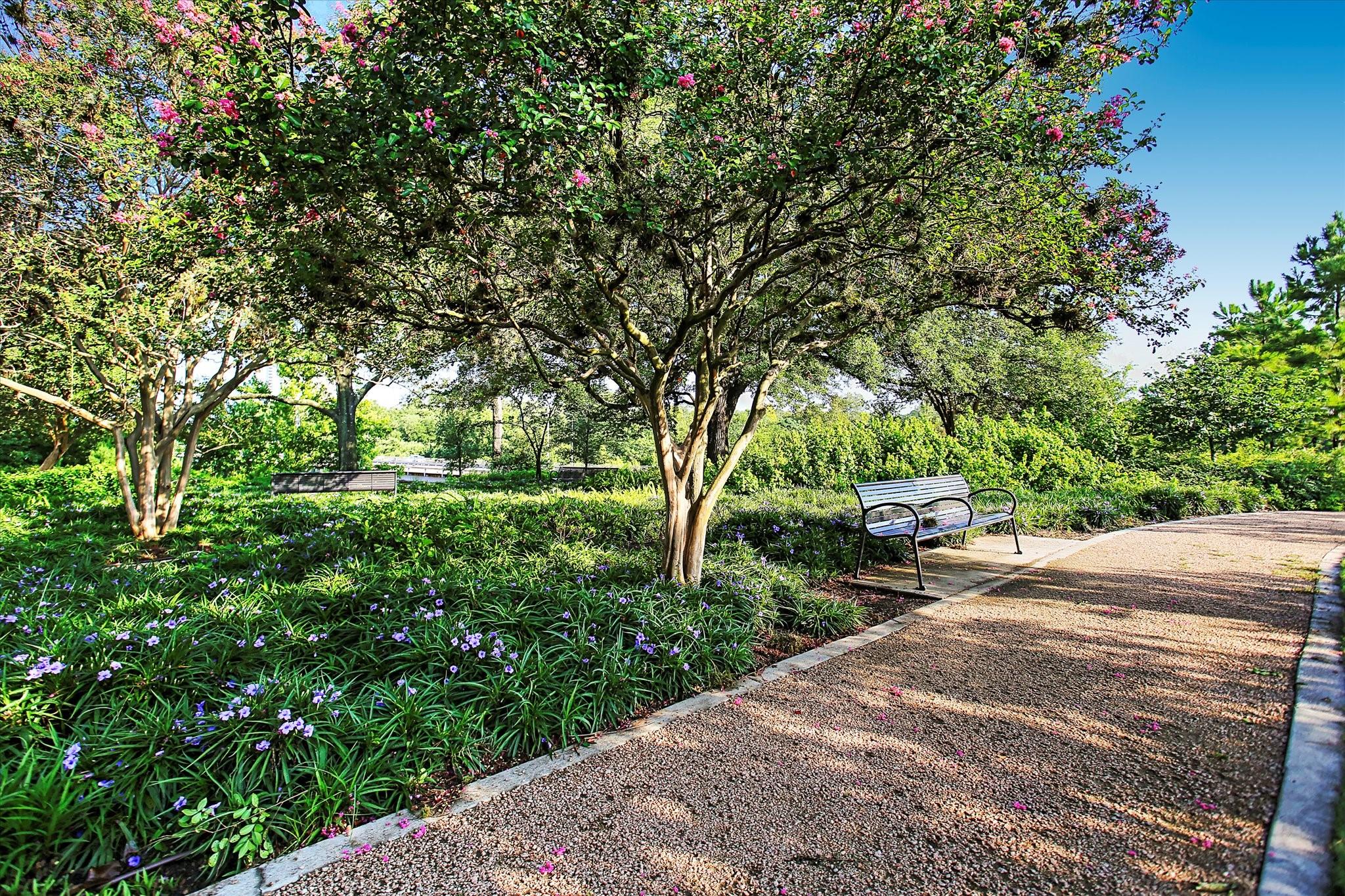 Landscaped walkway shaded by flowering trees, with a bench beside the gravel path.