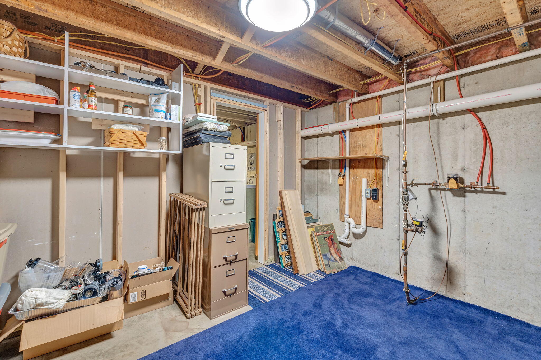 Basement storage area with exposed joists, utility pipes, shelving, and blue carpet.