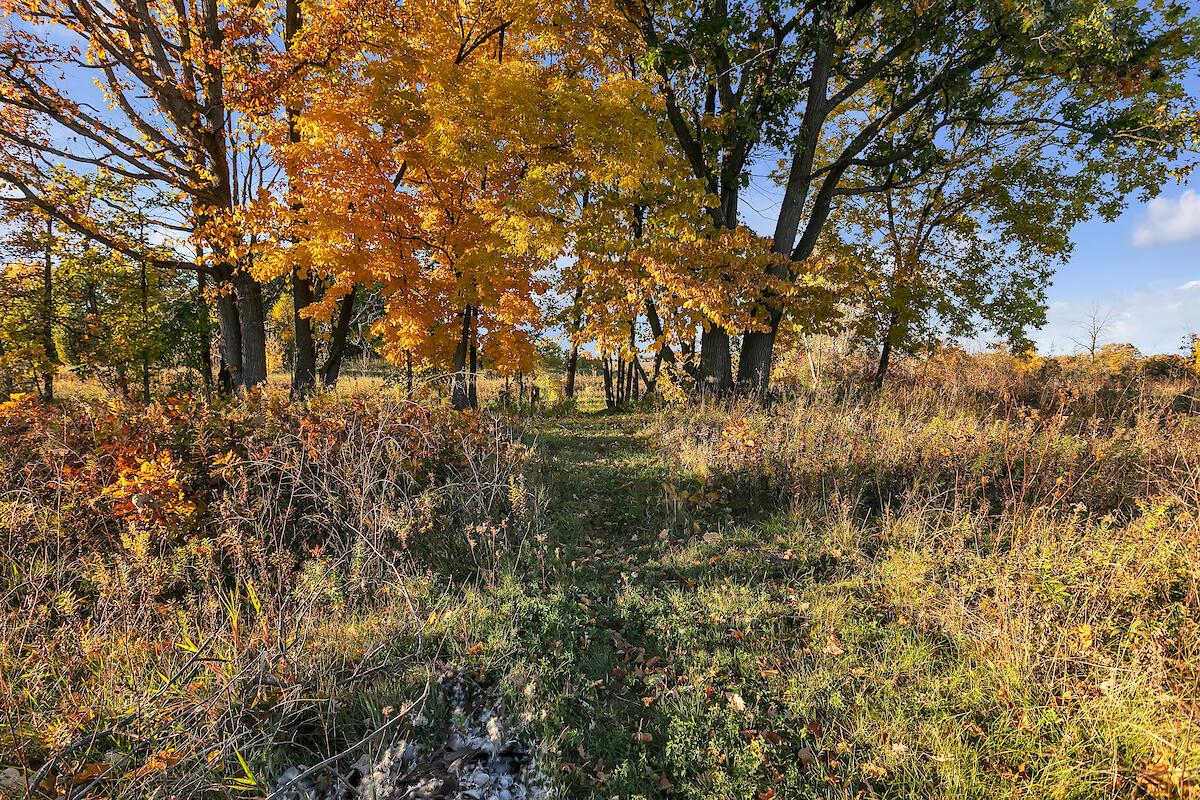 Lot 10 BONNIWELL ROAD