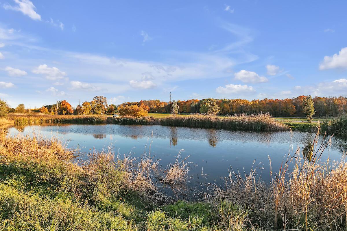 Lot 10 BONNIWELL ROAD