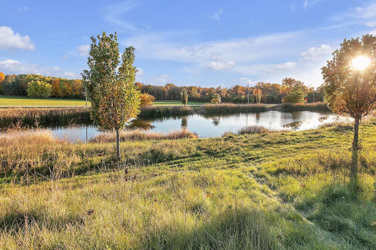 Lot 10 BONNIWELL ROAD