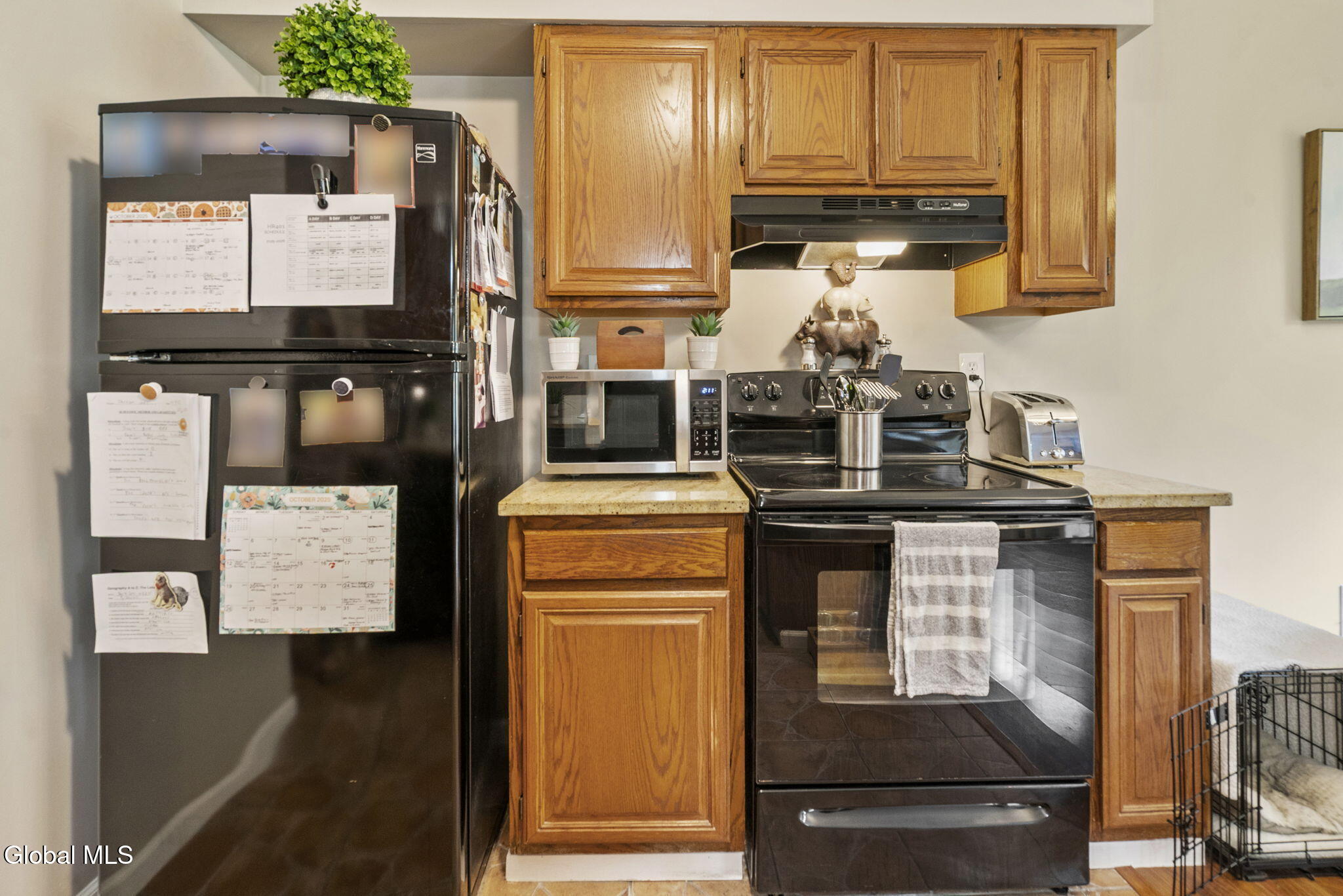 3016 Fern Court