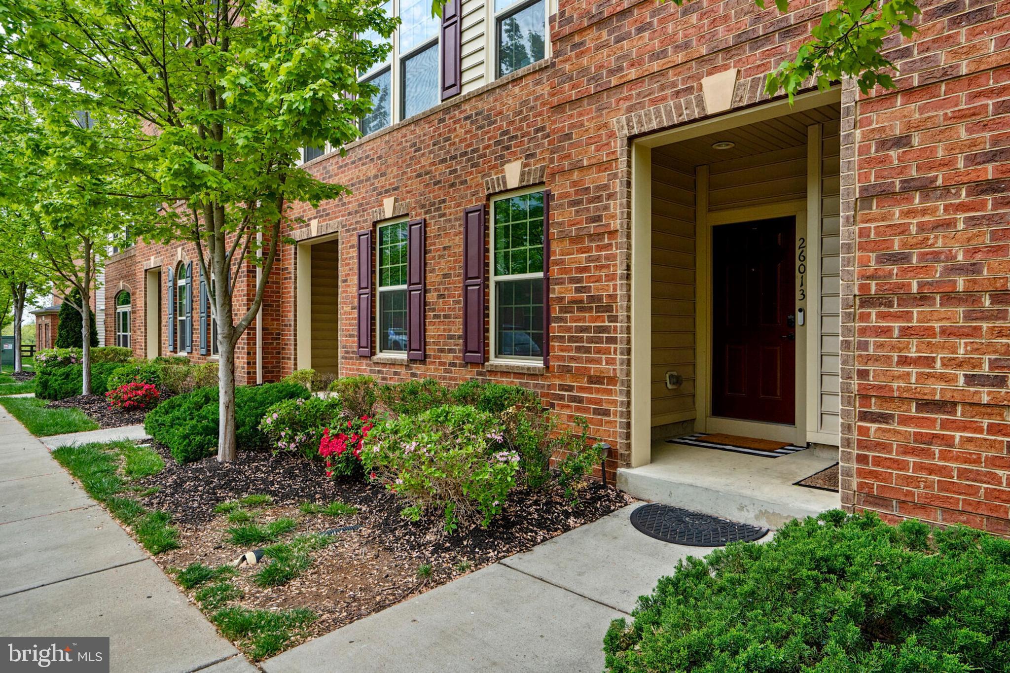 26013 BRAIDED MANE TERRACE