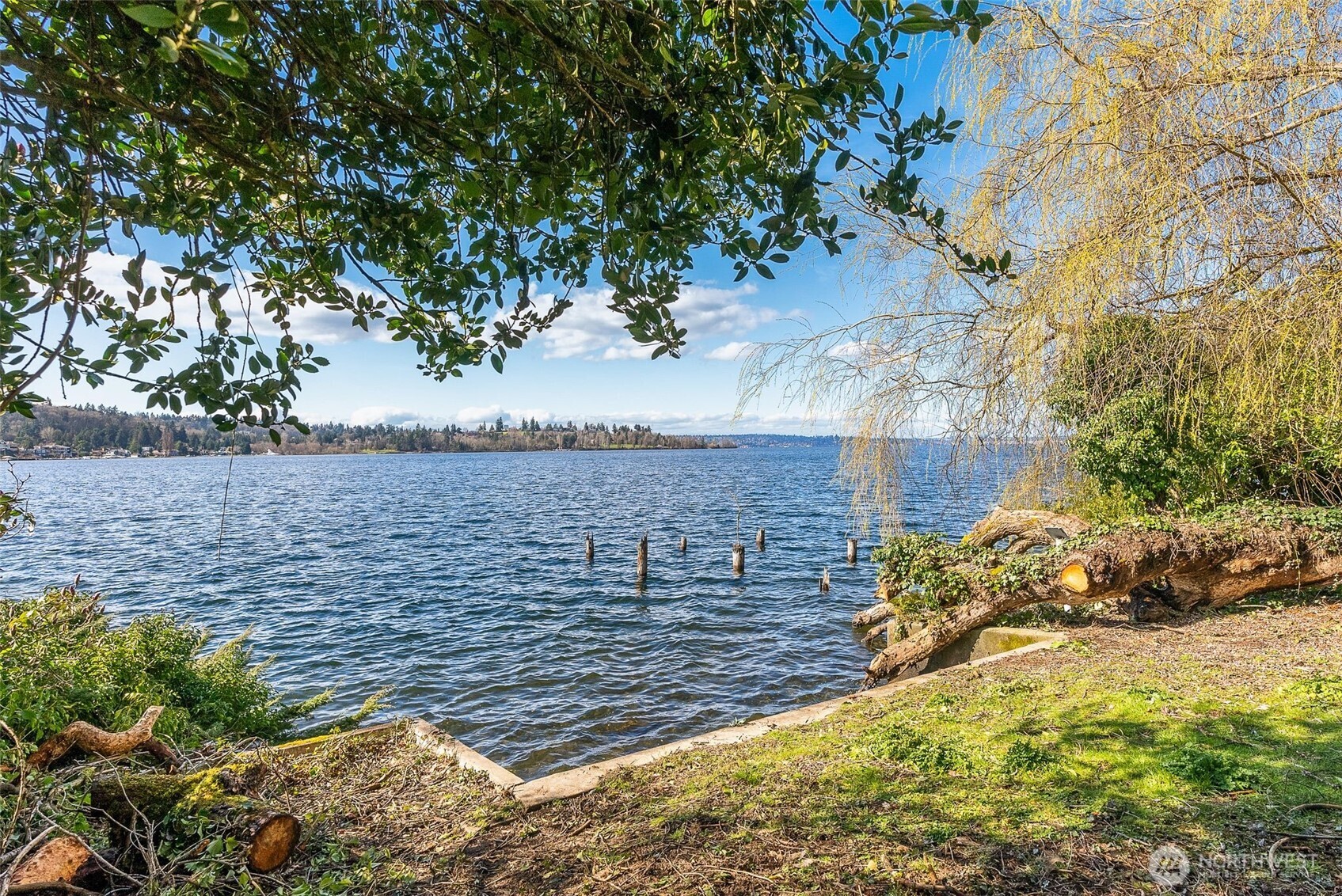 2521 103rd Avenue SE