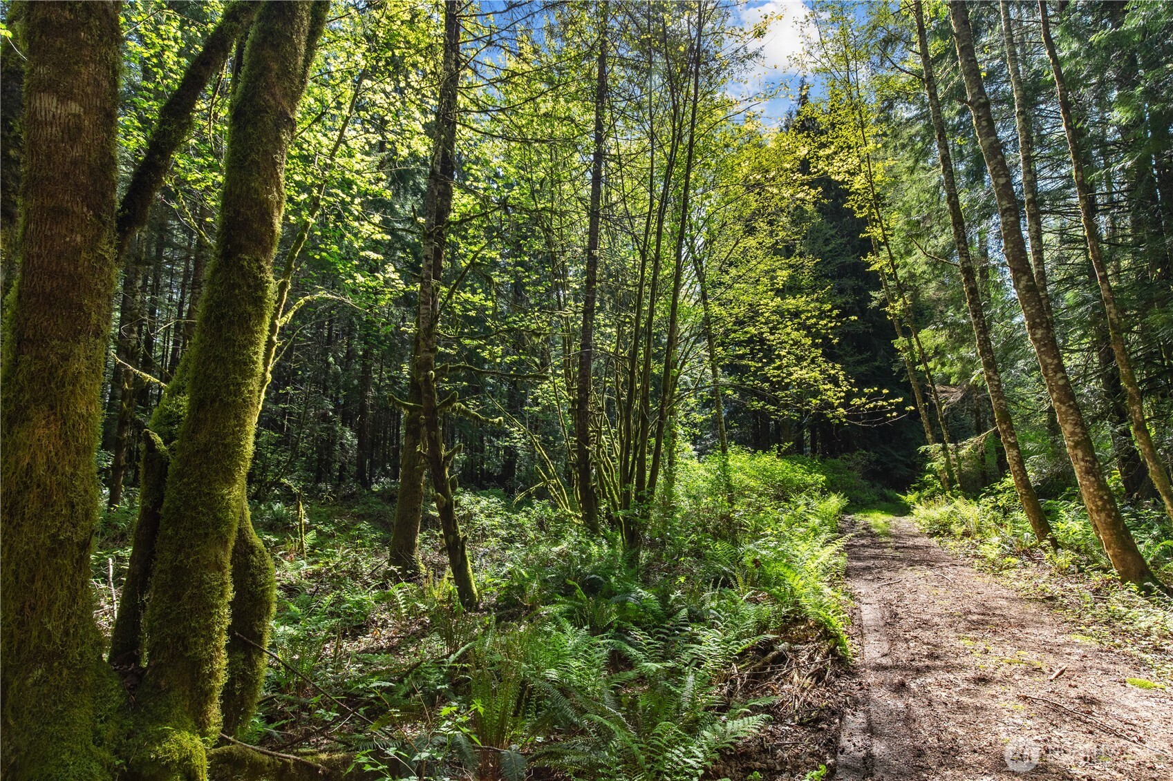 27525 W Lake Riley Road