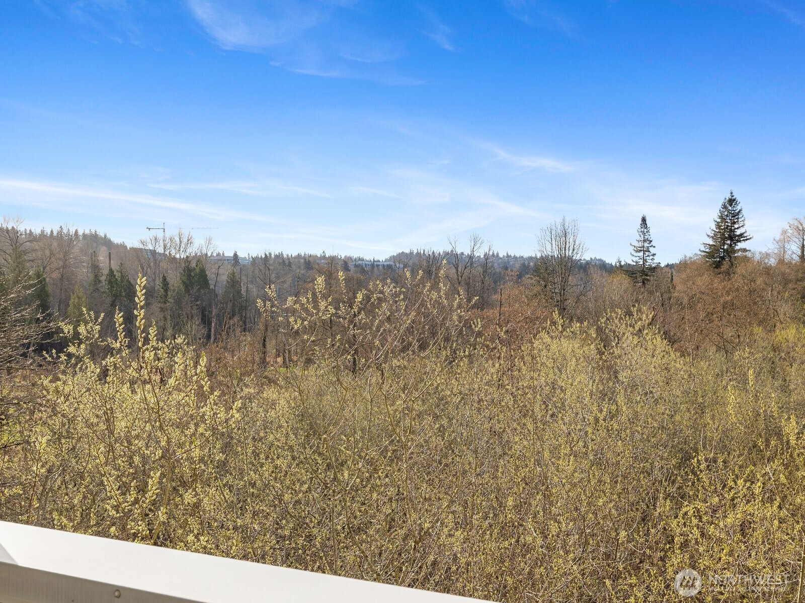 2244 132nd Avenue SE Unit: B214
