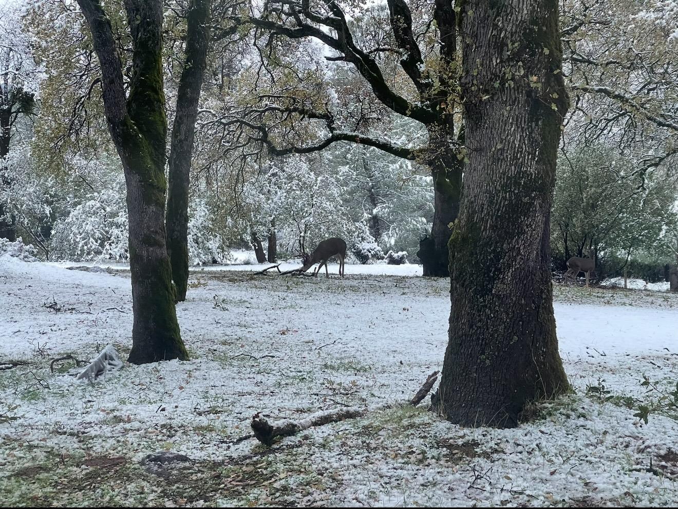 9951 State Highway 193