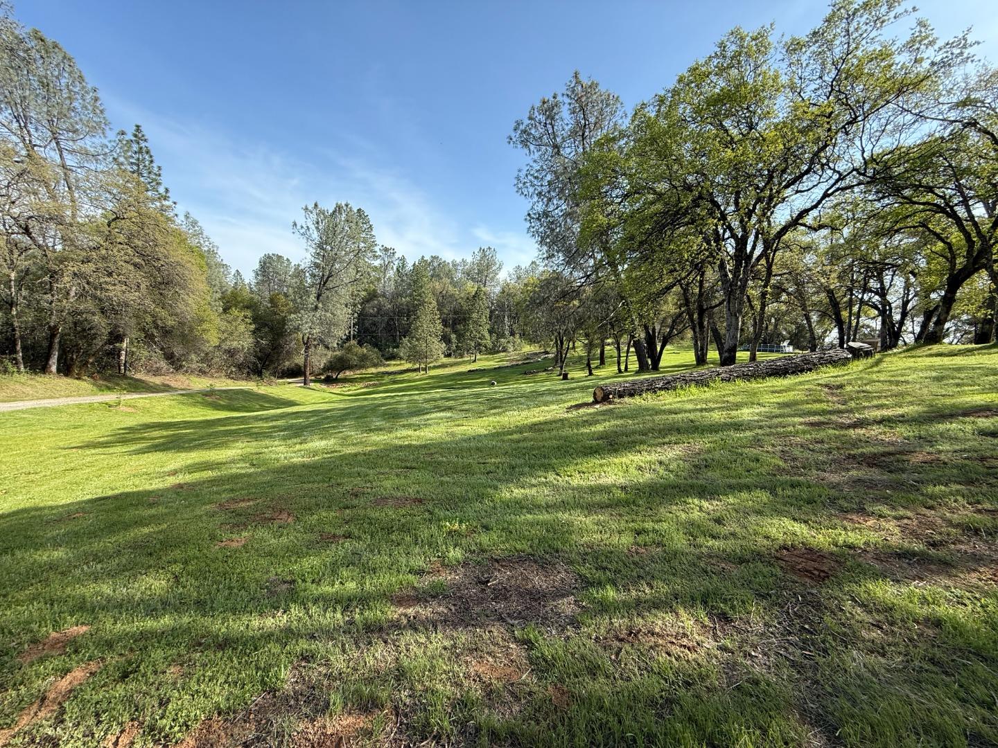 9951 State Highway 193